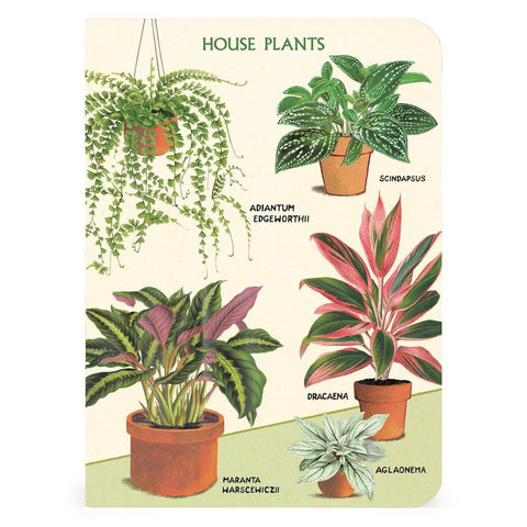 House Plants Mini Notebook Set