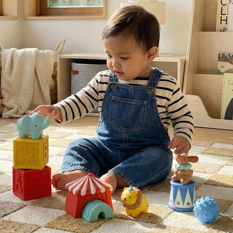 Circus Itzy Blocks
