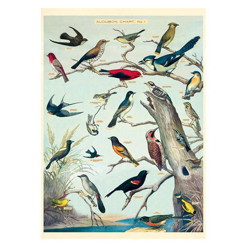 Birds Wrap Sheet