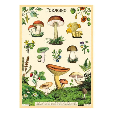 Foraging Wrap