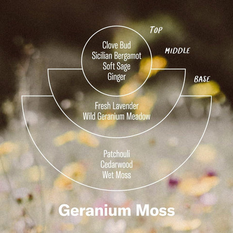 Geranium Moss Alchemy Reed Diffuser