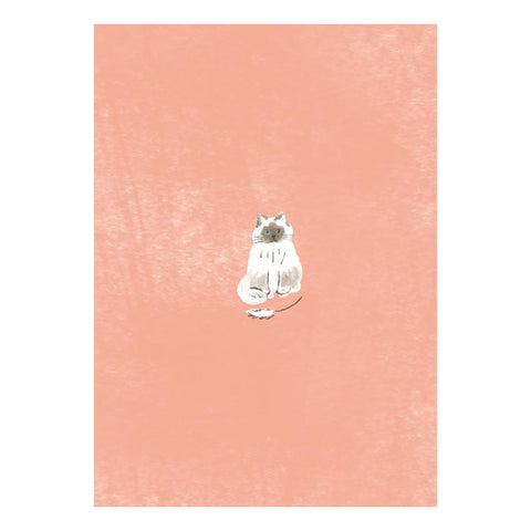 Cat Mino Washi Book Covers