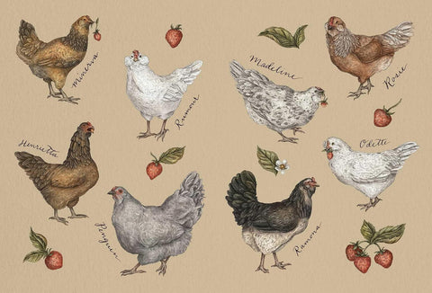 The Collector's Curio: A Sticker Treasury