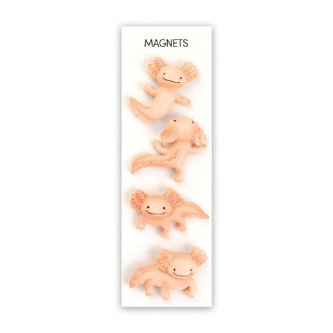 Axolotl Magnets Set