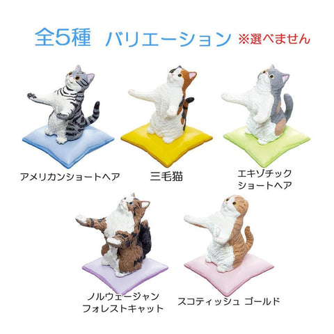 Cat Pen Holder Blind Box