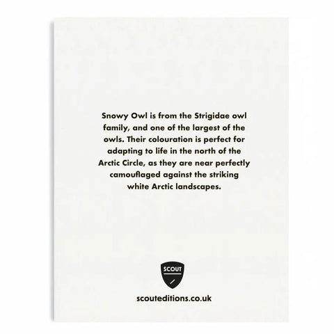 Snowy Owl Mini Card