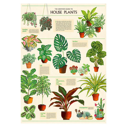 Houseplants Wrap