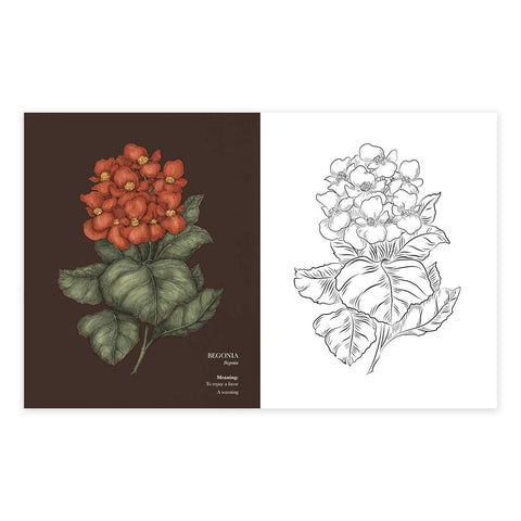 Floriography Coloring Book