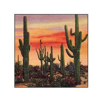 Desert Beauty Matchboxes