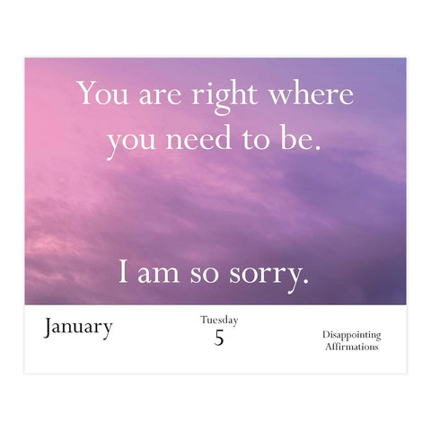 Disappointing Affirmations 2027 Daily Calendar