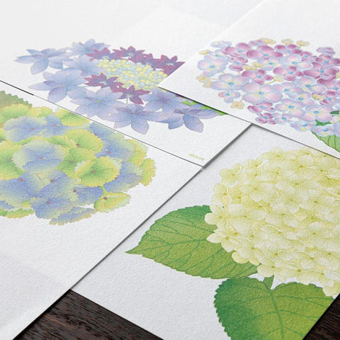 Hydrangea Square Letter Pad