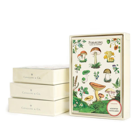 Foraging Boxed Notecards