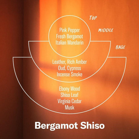 Bergamot Shiso Alchemy Reed Diffuser