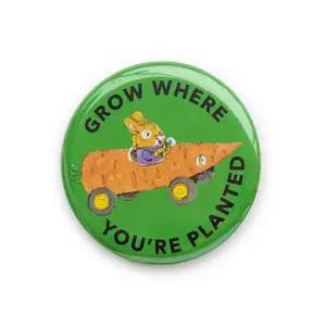 Richard Scarry Buttons