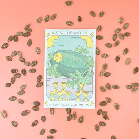 Moon + Stars Watermelon Tarot Seed Packet