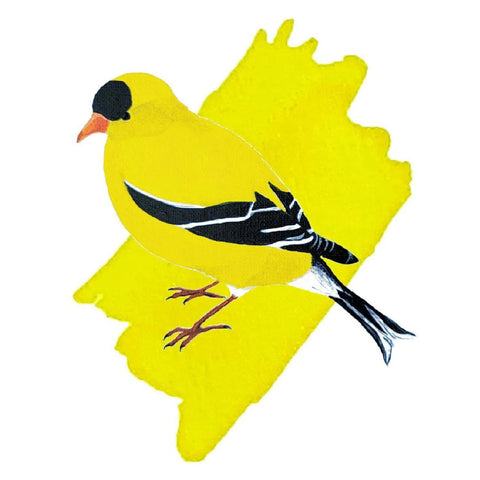 American Goldfinch Yellow Ink