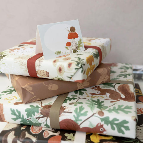 Snail Mini Boxed Cards