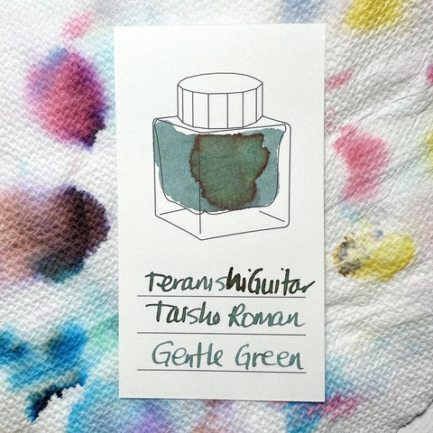 Teranishi Guitar Taisho Roman Haikara Ink, Gentle Green