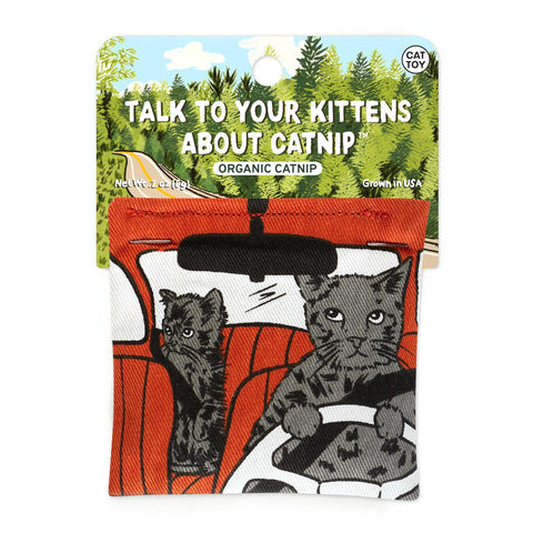 Talk to Your Kittens Catnip Toy