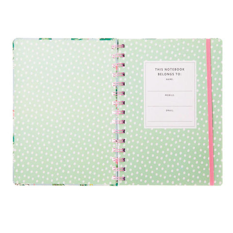 Frogs Notebook