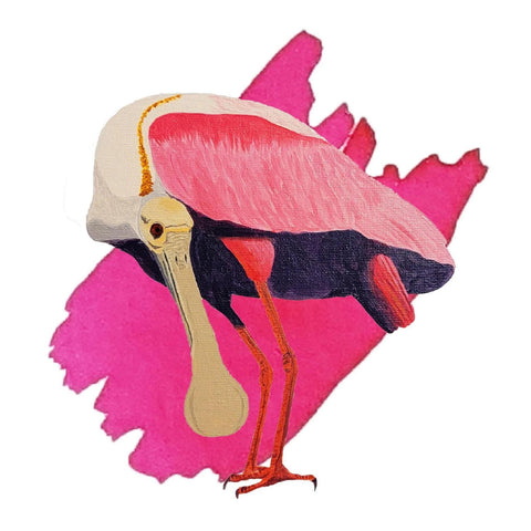 Roseate Spoonbill Pink Ink