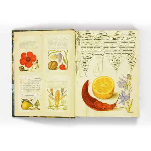 The Esoterica Sticker Book