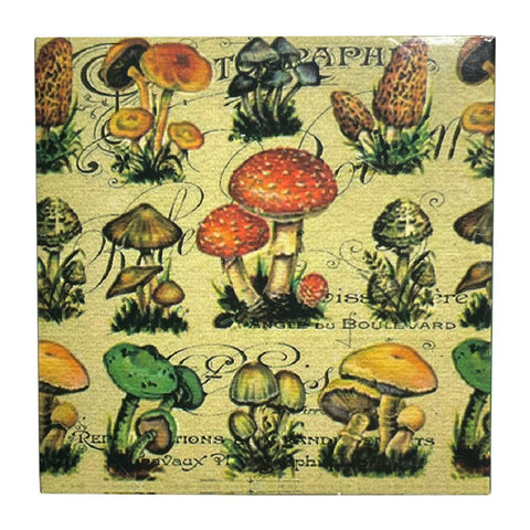Mushroom Matchboxes