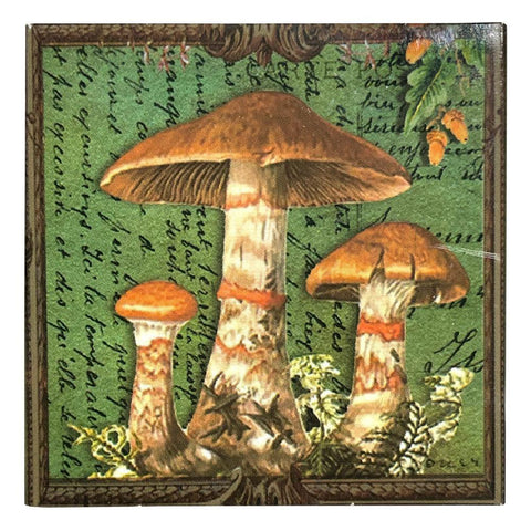 Mushroom Matchboxes