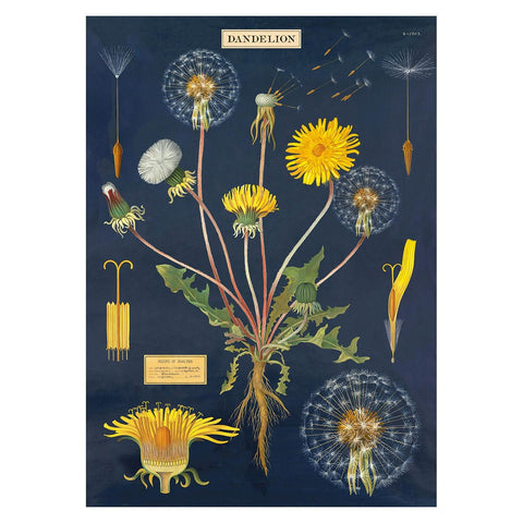 Dandelion Wrap