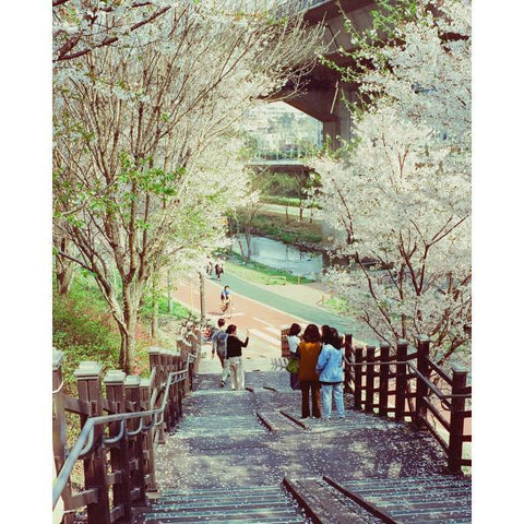 Candido 200 35mm Film