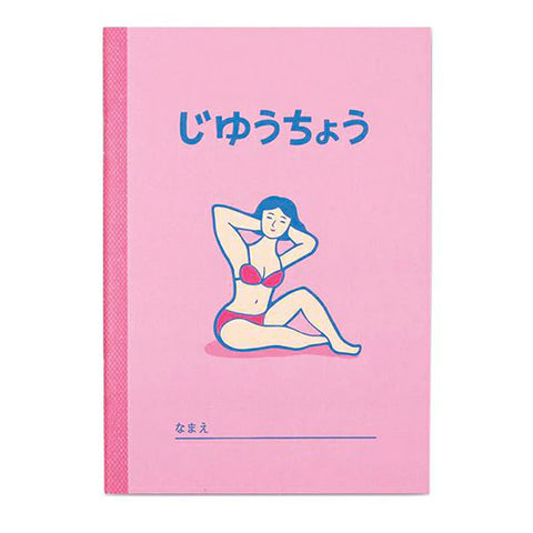 Retro Pop B6 Notebooks