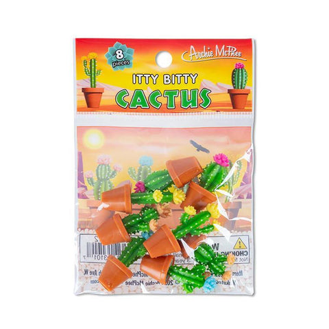 Itty Bitty Cactus