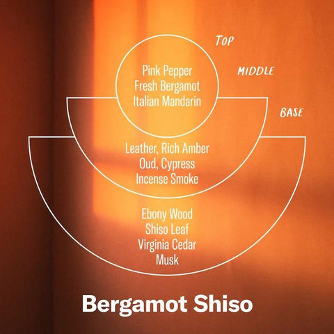 Bergamot Shiso Alchemy Incense Cones
