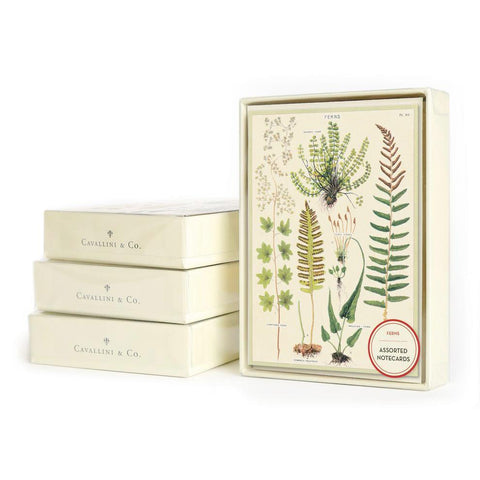Ferns Boxed Notecards