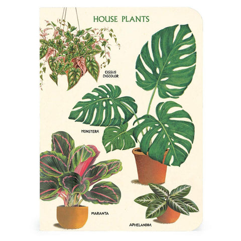 House Plants Mini Notebook Set