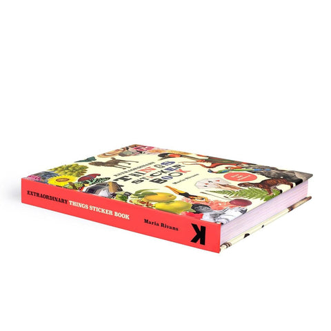 Extraordinary Things Sticker Book