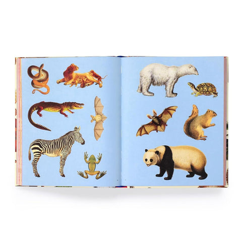 Extraordinary Things Sticker Book
