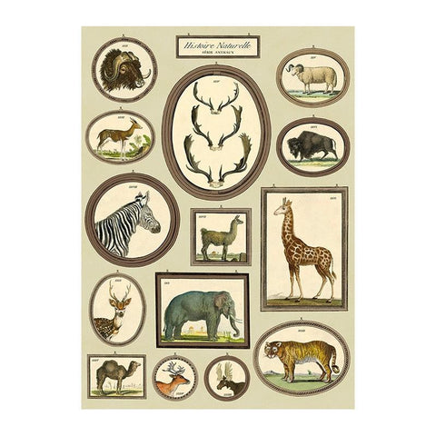 Natural History Animals Wrap