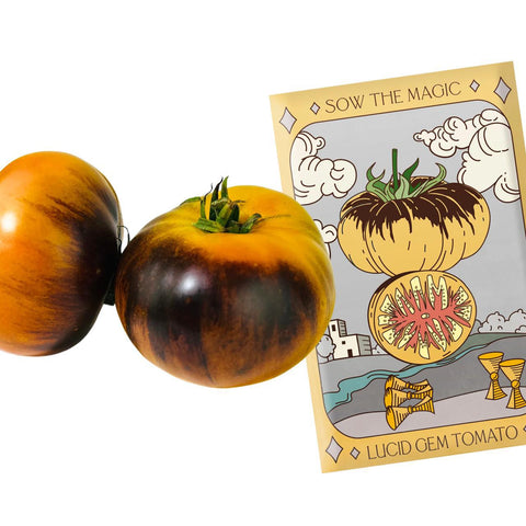 Lucid Gem Tomato Tarot Seed Packet