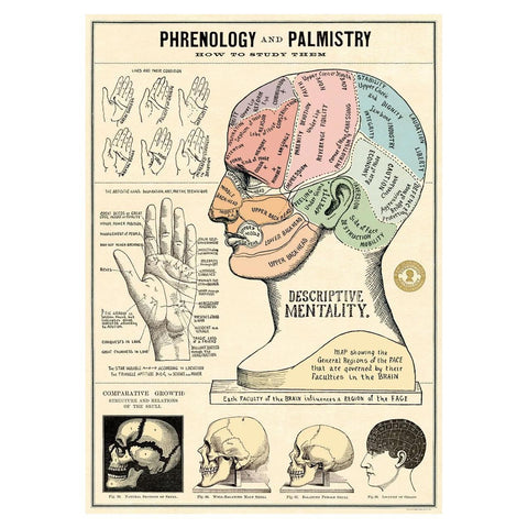 Phrenology + Palmistry Wrap