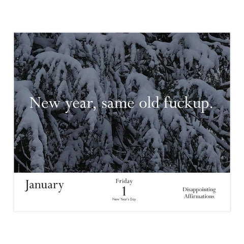 Disappointing Affirmations 2027 Daily Calendar