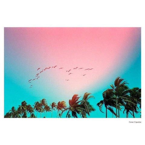 KONO! Sunstroke 200 Color 35mm Film