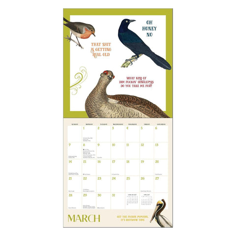 Effin' Birds 2027 Wall Calendar