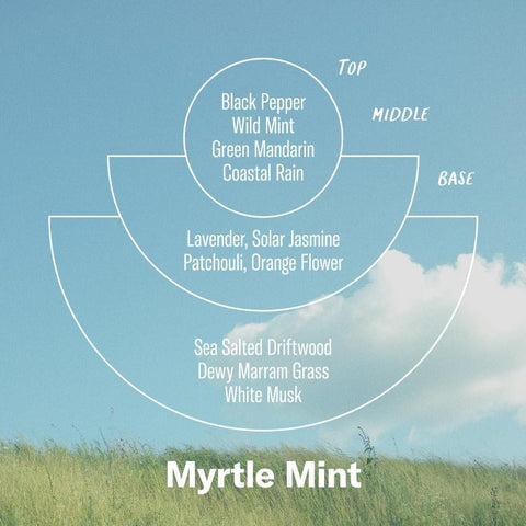 Myrtle Mint Alchemy Reed Diffuser