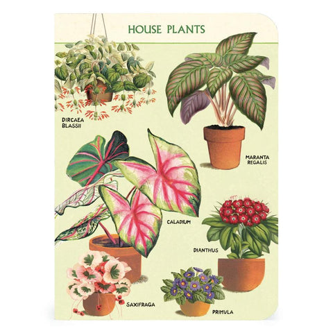 House Plants Mini Notebook Set