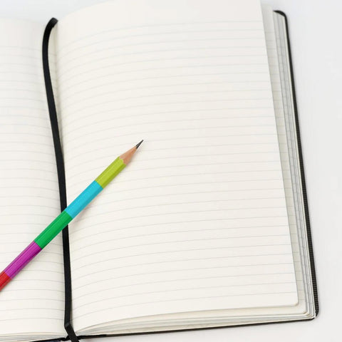 Blackwing Volume 343 Slate Notebook