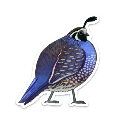 Quail Sticker