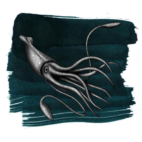 Colossal Squid Dark Ink
