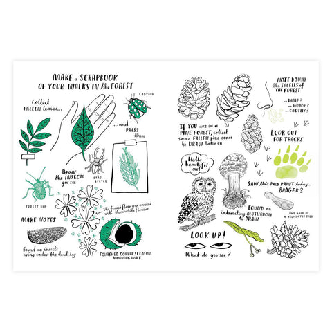 Hello Nature Activity Book