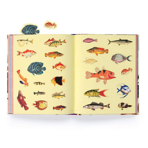 Extraordinary Things Sticker Book